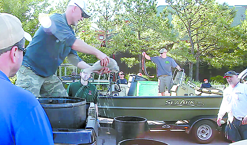 Competitors fill tubs with their take at the 2018 U.S. Open Bowfishing tournament weigh-in at Bass Pro Shops in Broken Arrow. Photo by Kelly J Bostian / KJBOutdoors
